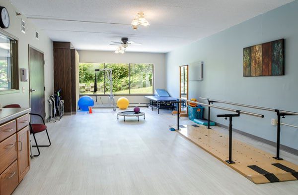 edenbrook rochester therapy gym