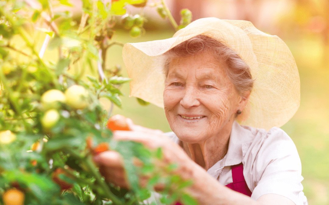 Fun And Safe Summer Activities For Seniors