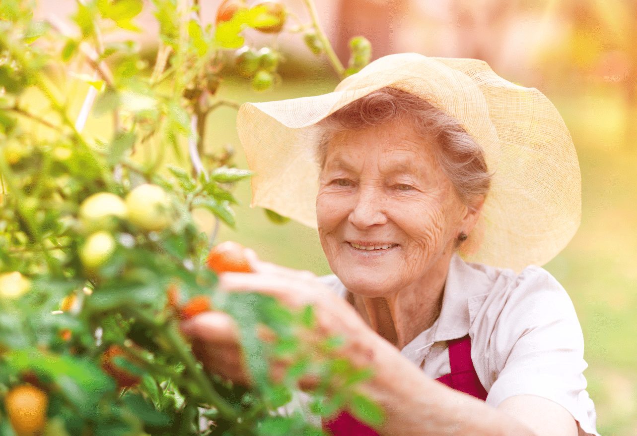 fun-and-safe-summer-activities-for-seniors-eden-senior-care