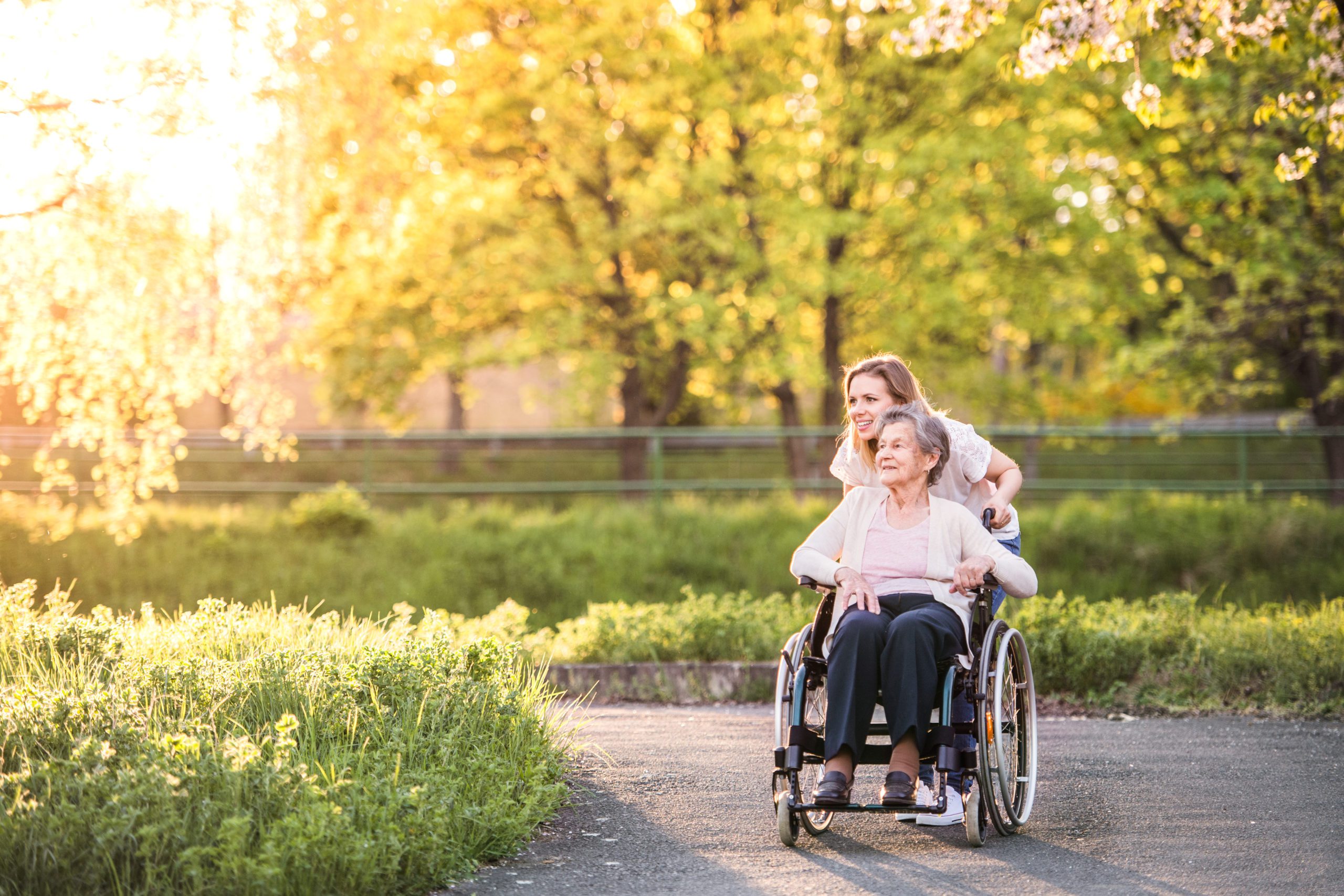 Wheelchairs vs Canes: Which Is the Better Choice for Seniors?