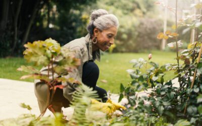 The Importance of Recreation and Wellness in Senior Health