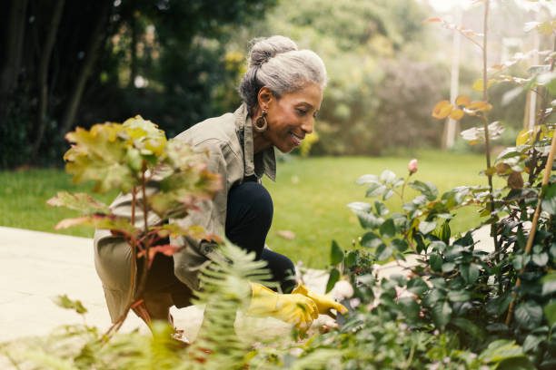 Happy retired female is gardening in back yard.